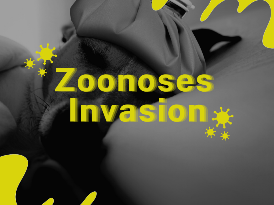 I-Facts July 2022 about Zoonoses Invasion